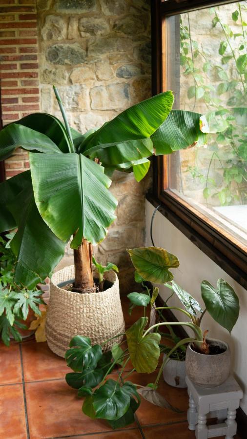 Casa 'Ohana Rioturbio Eksteriør billede